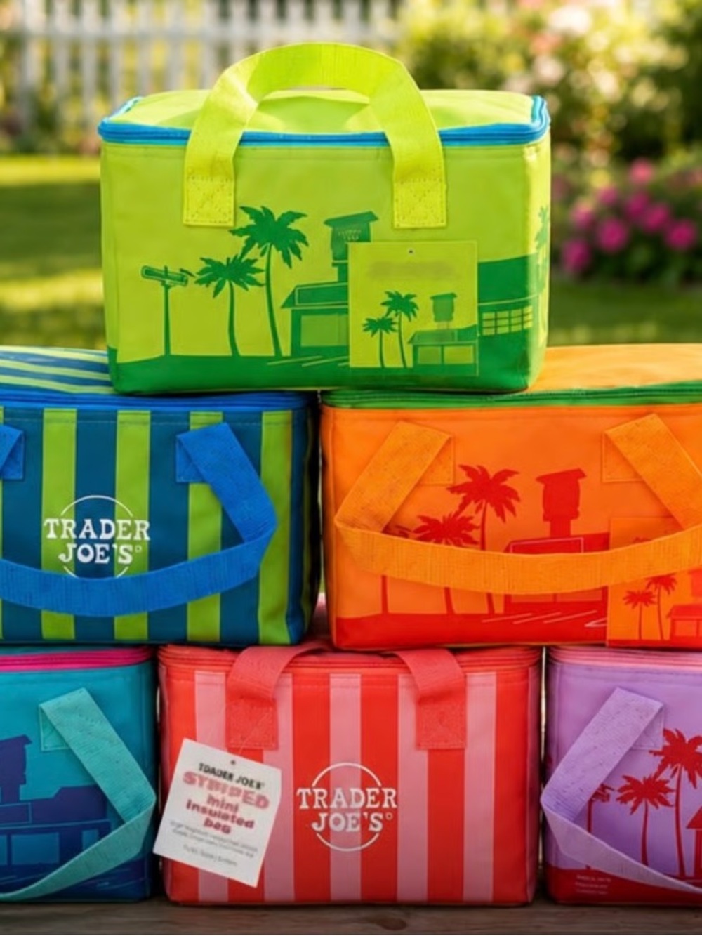Trader Joes set of 6 Insulated Cooler Bags mini